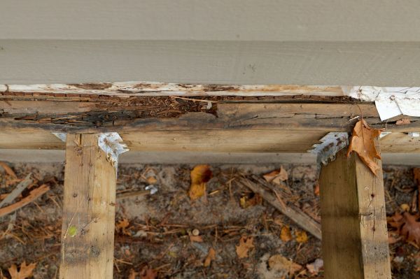 Leesburg Wood Rot Repair