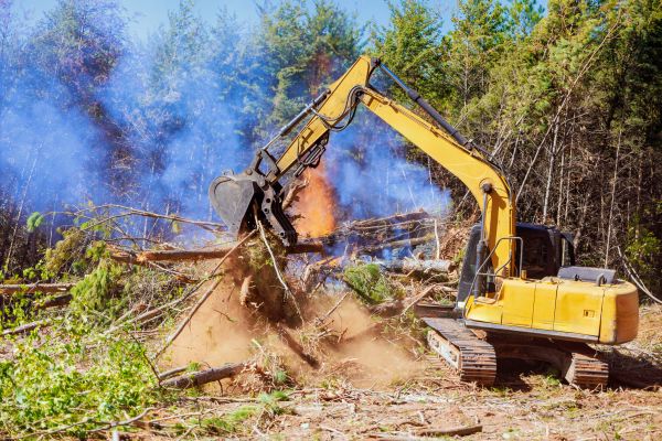 Leesburg Land Clearing