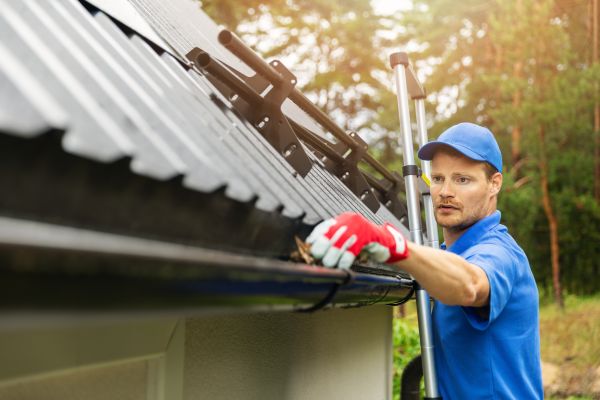Leesburg Gutter Cleaning